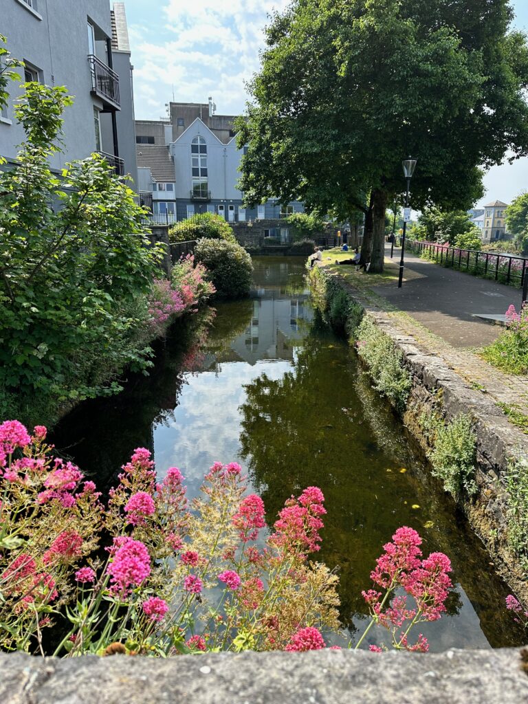 A canal surrounded by flowers in Galway, Ireland