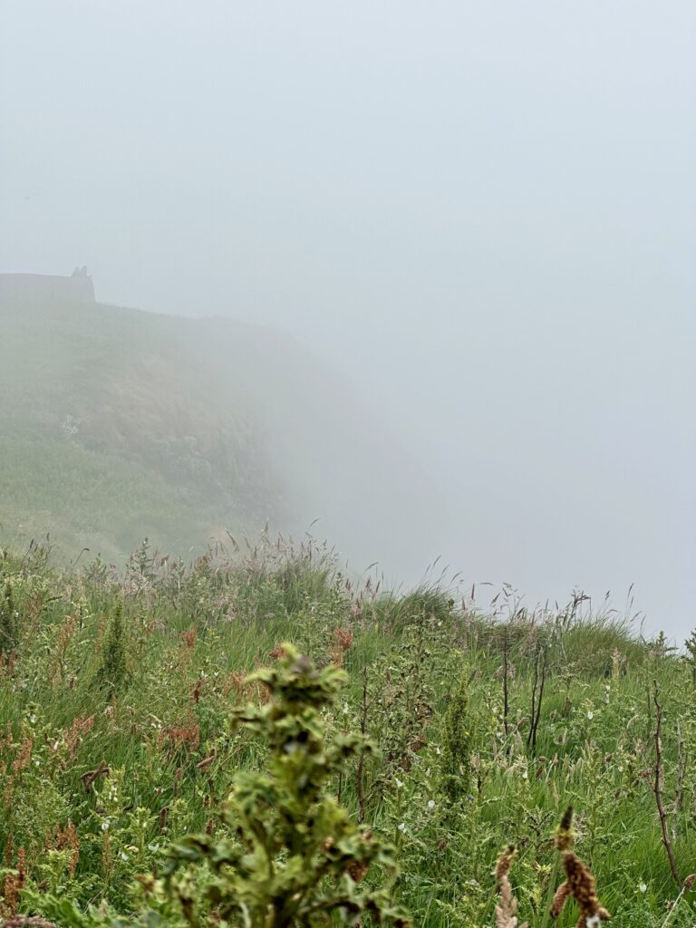Cliffs of Moher, too foggy to see anything. 